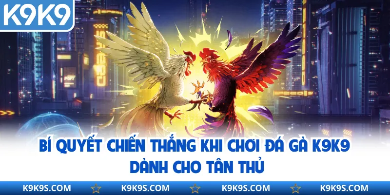 Bí quyết chiến thắng khi chơi đá gà K9K9 dành cho tân thủ