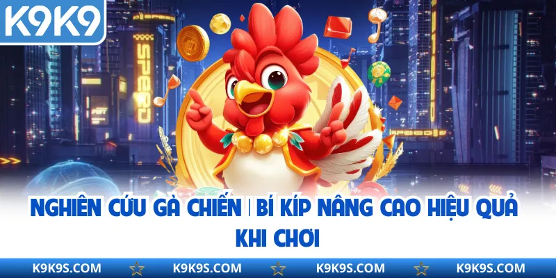 Nghiên Cứu Gà Chiến | Bí Kíp Nâng Cao Hiệu Quả Khi Chơi