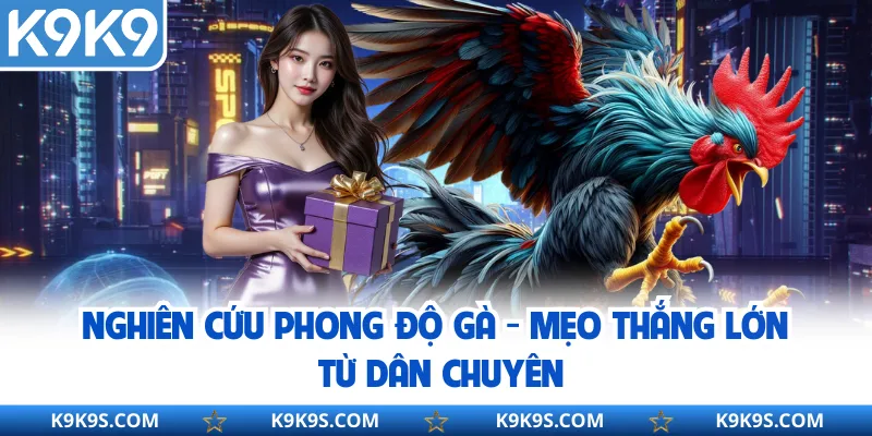 Nghiên Cứu Phong Độ Gà - Mẹo Thắng Lớn Từ Dân Chuyên