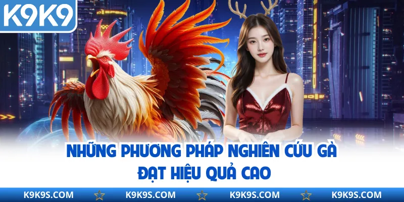 Những phương pháp nghiên cứu gà đạt hiệu quả cao